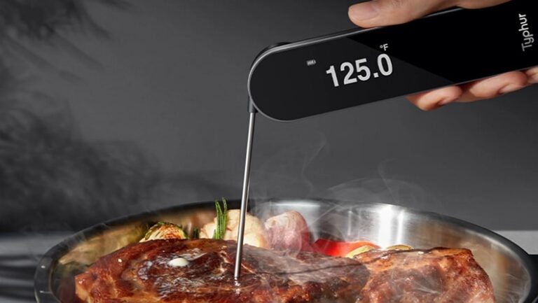 How to Check the Core Temperature of Meat?