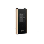 Sync Gold Dual Wireless Thermometer