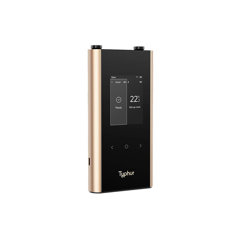 Sync Gold Dual Wireless Thermometer