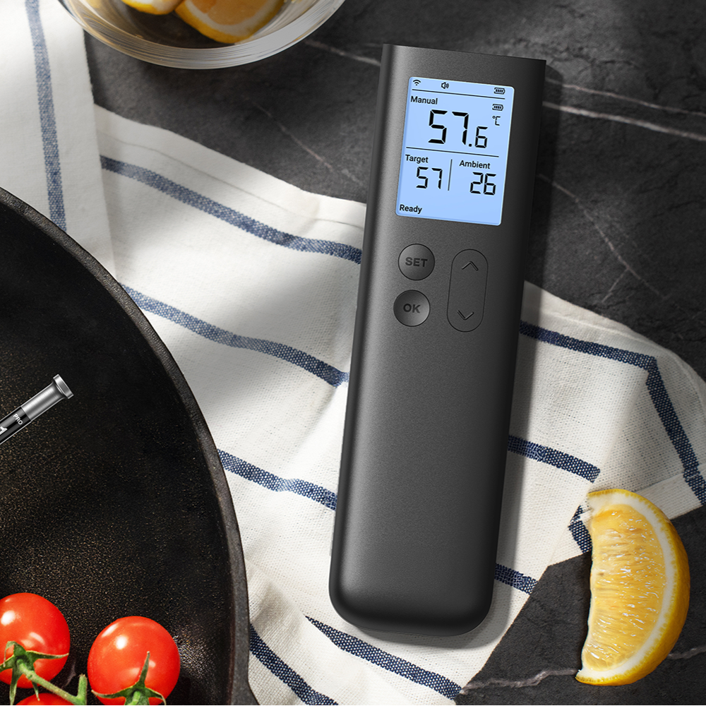 Sync Gold Lite Wireless Thermometer