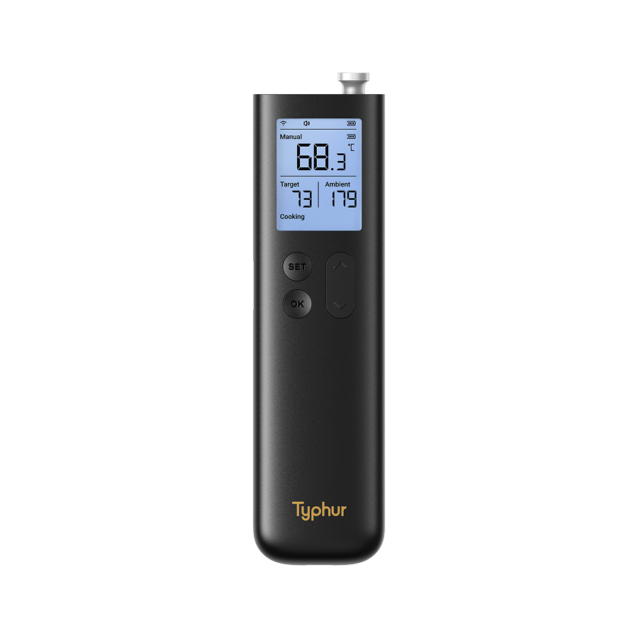 Sync Gold Lite Wireless Thermometer