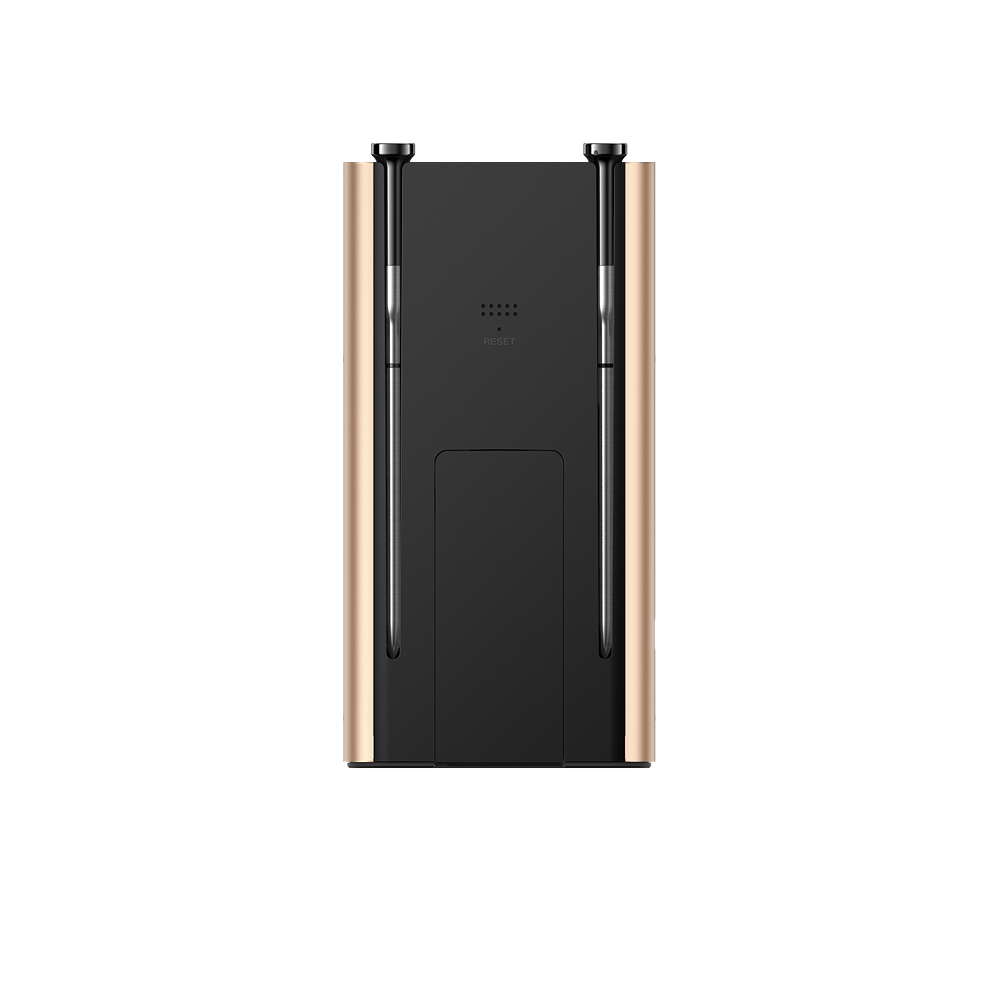 Sync Gold Dual Wireless Thermometer